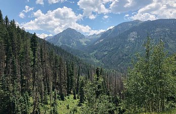Elwood Pass